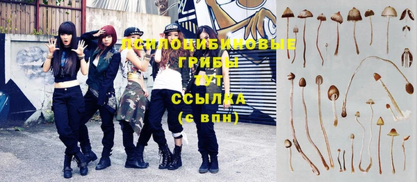 кокс Алексеевка