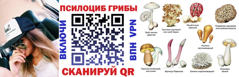 Галлюциногенные грибы Psilocybe  Суровикино 